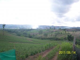Sell ! Land for making resort- R Phetchabun