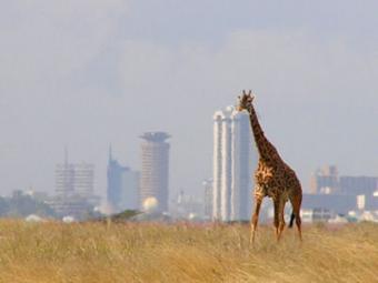 Quarter Acres Ongata Rongai