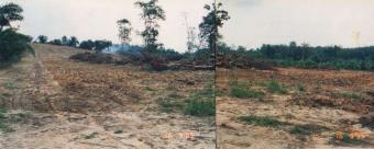 Sepang Land For Sale Sepang