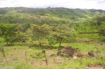 country lots for sale San Carlos
