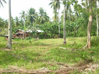Domicillo Property, Samall 8000