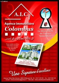 a vendre villa a menzel bourguib Bizerte