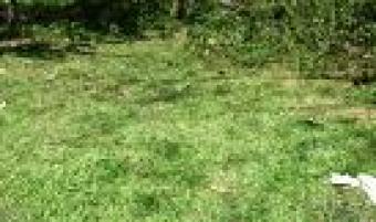 Colombo - 6 LAND FOR QUICK SALE Colombo 06