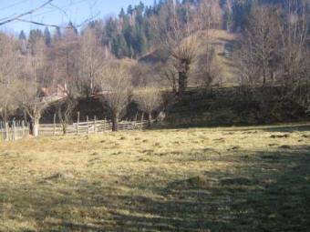 1250 sq m land for sale in Bran- Bran