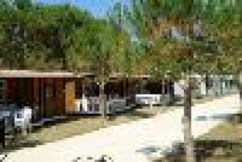 Country cottages for cheap price Elche