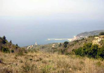 Skopelos Island Plot 4065m2 Skopelos
