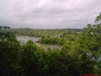 Sale a Land At Hikkaduwa Town Hikkaduwa