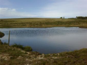 90 hectare farm for cattle Punta Del Este