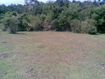 Cheap Land FOR SALE in Jimbaran. Denpasar
