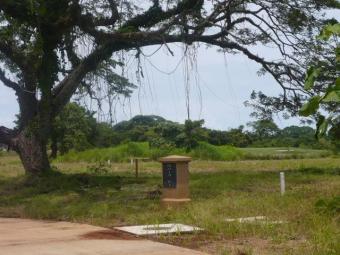 Fire Sale Lots Playa Avellanas Guanacaste