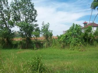 Freehold land, Canggu-Bali Bali