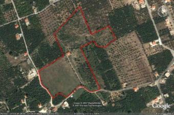 Land of 51000sq.m. Sparta