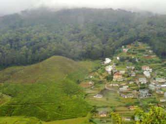 Land with a great view in NEliya Nuwaraeliya Colony