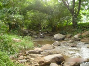 land for sale Chiang Mai
