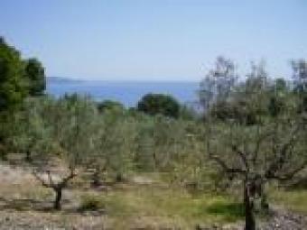 Plot of Lands on Alonissos islan Alonissos Island