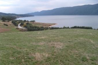 Land on the shore of Dospat dam Dospat