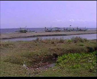Beachfront land in Bali Negara