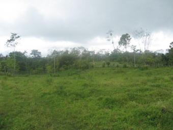 Propoerties in La Fortuna, CR La Fortuna