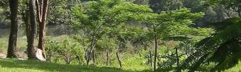 Farm for sale in Zambia St Anthonys