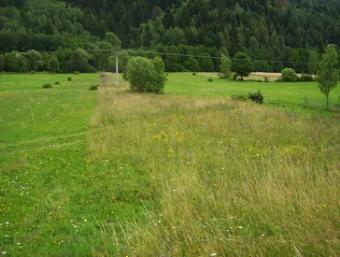 Plot of land - Slovakia Hrinova
