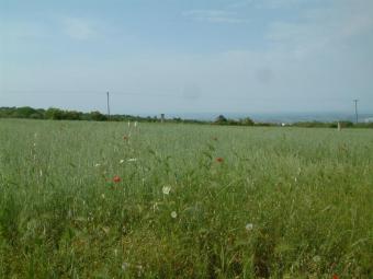 paralia pieria kateri Paralia
