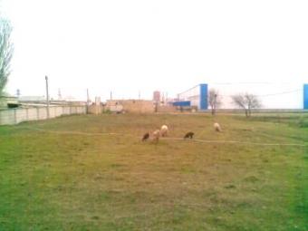 Realty Estate Property Land area Baku