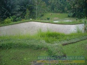 Jungle View Land in Gianyar Bali