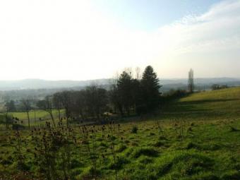 land in the south west (b�arn) Orthez