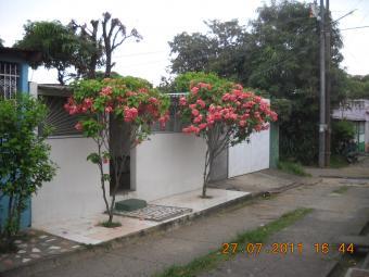 Holiday lights in Managua Nicar Managua