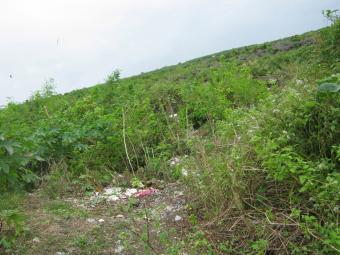 Mactan Island Beach Lot for Sale Lapu-lapu City