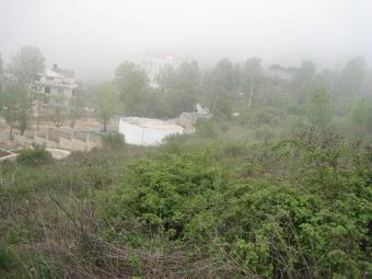 LAND IN CHBENEYEH FOREST Bhamdoon 01 425 306
