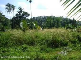 Land Sale Kurunegala
