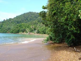 70m Beach Front Land Ko Lanta Yai