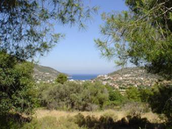PLOTS FOR SALE Corinth