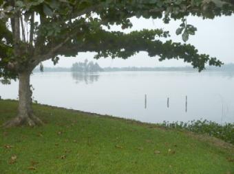 Piliyandala - Land Bodering Lake Piliyandala