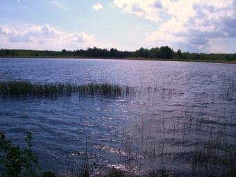 Land near Alausai lake, Moletai Moletai District, Balninkai