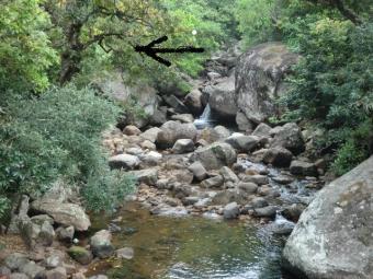 Land For Sale in Belihuloya Belihuloya