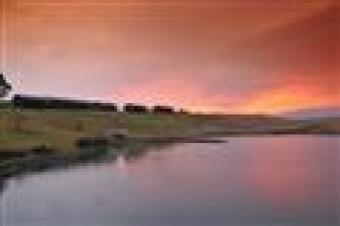 Geust house for sale Machadodorp
