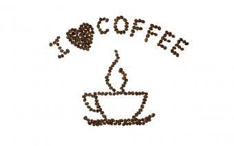 Coffee Shop Franchise Florida