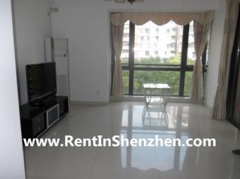 Shenzhen Apartment Rent/NanShan, Shenzhen