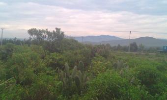 Plots on Sale Nairobi