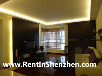Shenzhen Apartment FuTian CBD/12 Shenzhen
