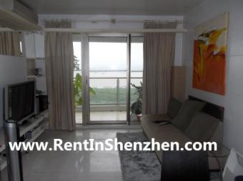 15Min to FuTian Port,SeaView,93s Shenzhen