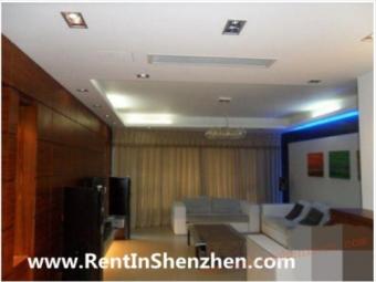 COCO PARK,near big shopping mall Shenzhen