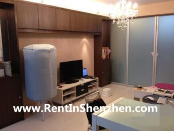 High-Class Community,luohu CBDMI Shenzhen