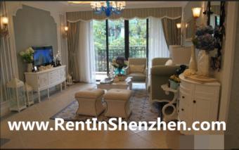 2012 new building,Shenzhen LongG Shenzhen