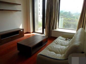Near Starbucks,Shenzhen apartmen Shenzhen