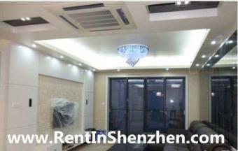 Shenzhen apartment for sale,Peni Shenzhen