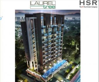 Laurel Tree Singapore