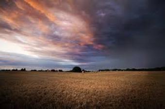 31 acres for sale athiriver Kitengela